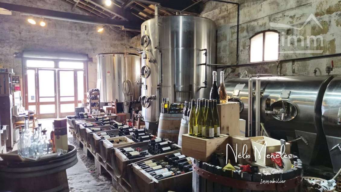 AV cave à vin authentique proche de Gradignan