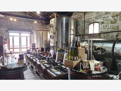 AV cave à vin authentique proche de Gradignan