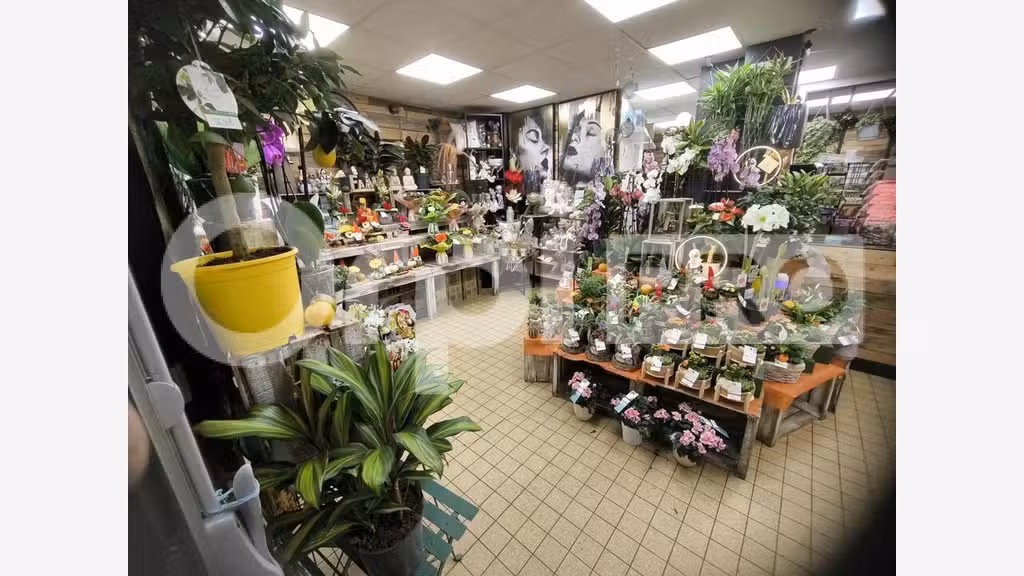 Cède fonds de commerce fleuriste 85m² Le Havre