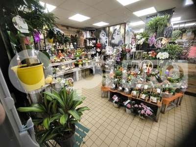 Cède fonds de commerce fleuriste 85m² Le Havre