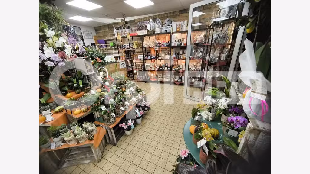 Cède fonds de commerce fleuriste 85m² Le Havre