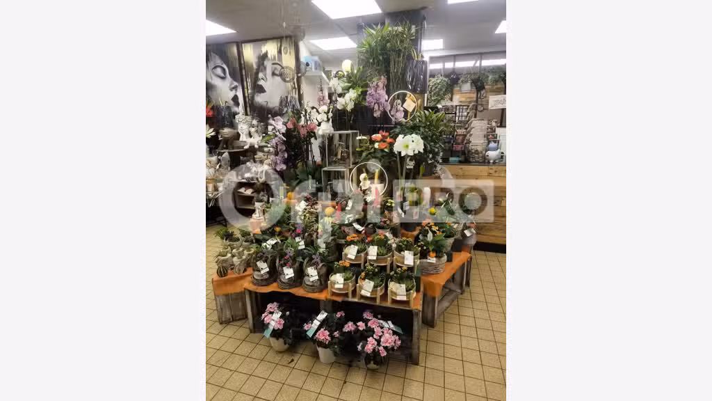 Cède fonds de commerce fleuriste 85m² Le Havre