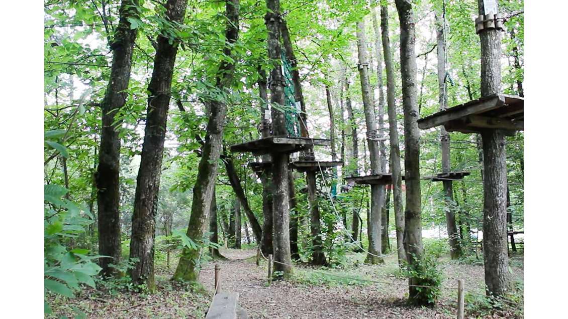 Vente parc de loisirs accrobranche à Limoges
