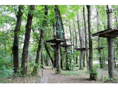 Vente Loisirs - Tourisme à Limoges