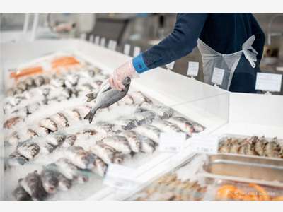 A vendre fonds de commerce poissonnerie à Rennes