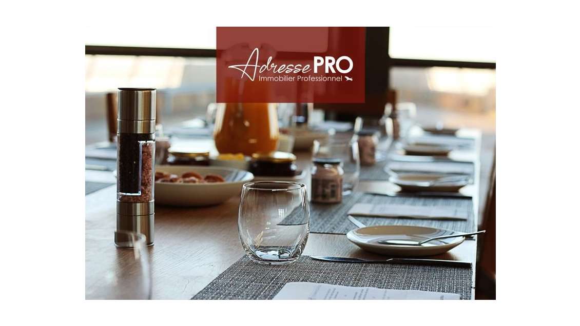 Vente restaurant de 240m² en zc Villenave d'Ornon