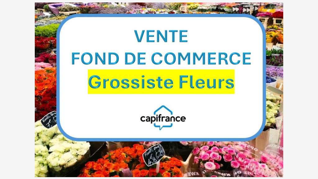 Vente FDC grossiste fleurs et plantes à Bastia