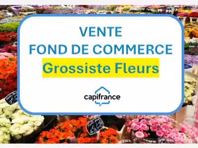 Vente FDC grossiste fleurs et plantes à Bastia
