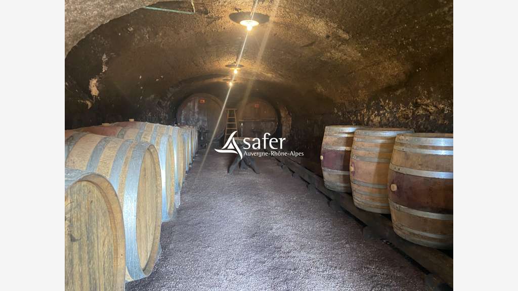 Vente maison avec cuvage fleurie au Beaujolais