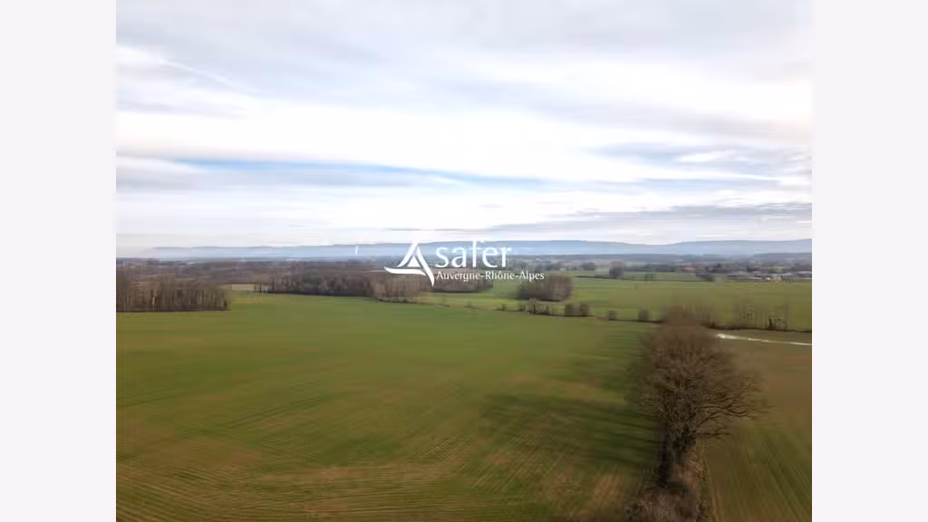AV exploitation paysan-boulanger + habitation Ain