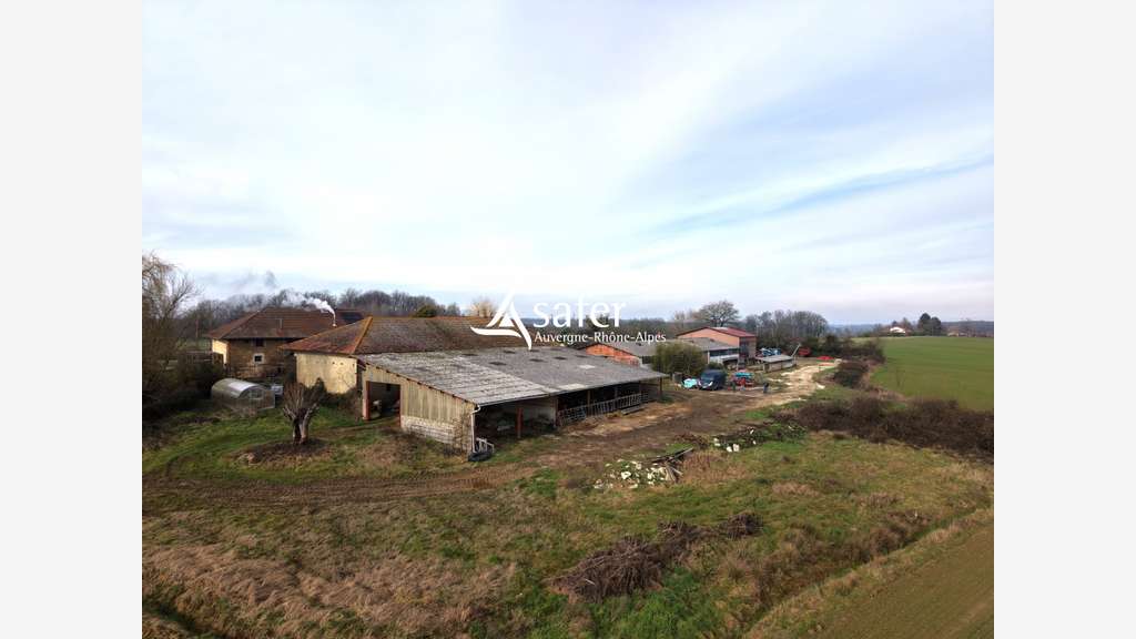AV exploitation paysan-boulanger + habitation Ain