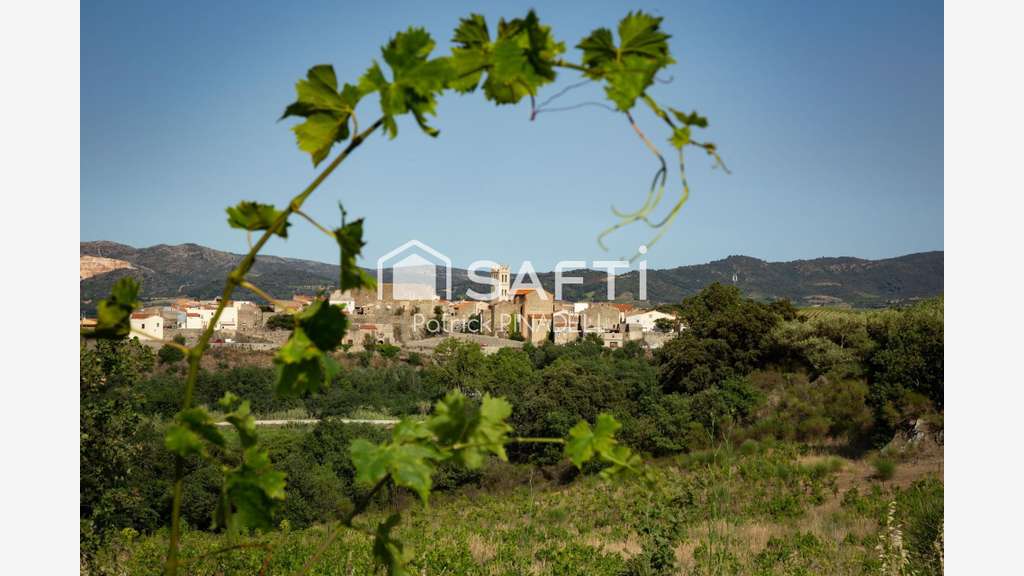 AV domaine viticole cave vignes à Latour de France