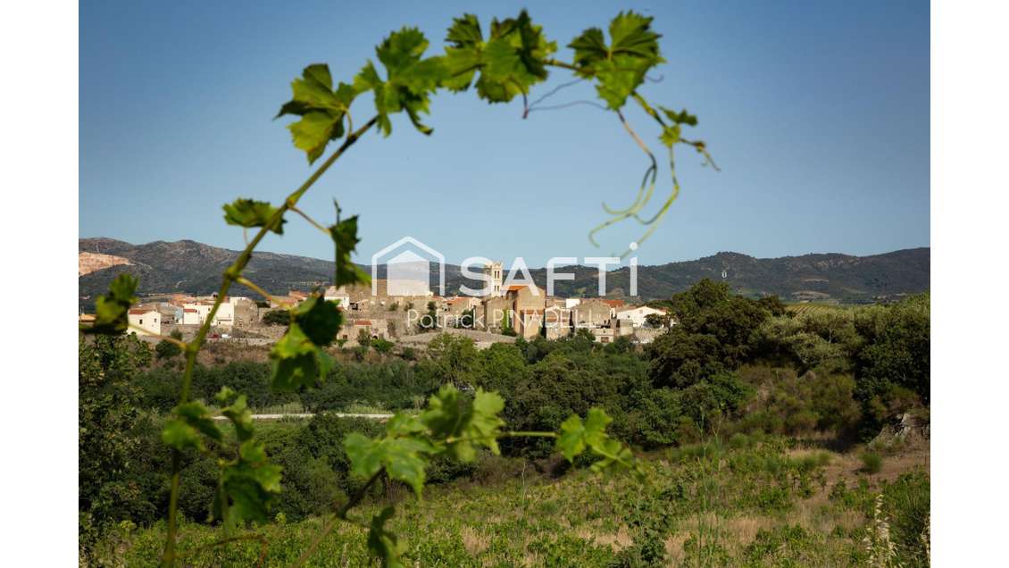 AV domaine viticole cave vignes à Latour de France