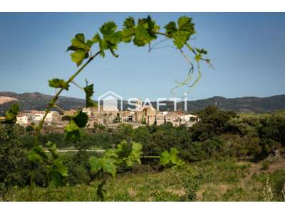 Vente Agriculture - Viticulture à Latour-de-France