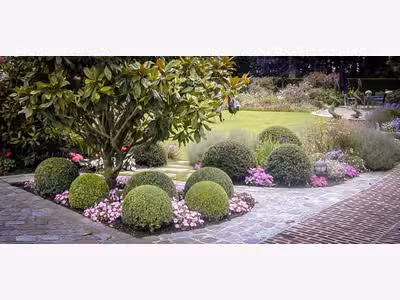 AV FDC création et entretien jardin à Noirmoutier