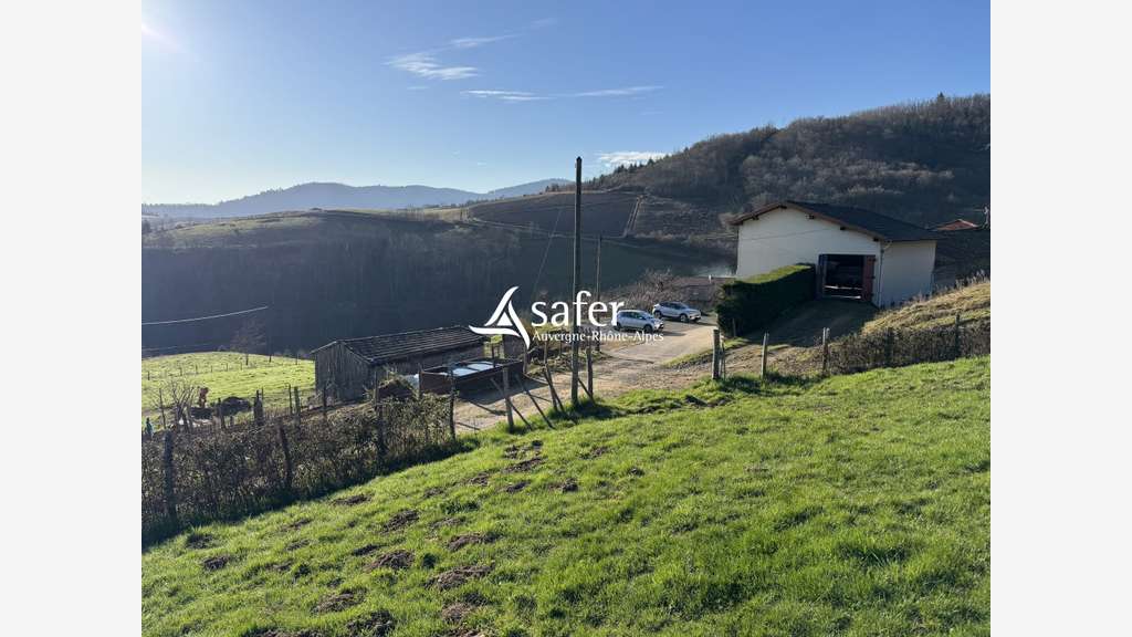 Vente ancien cuvage Vaux en Beaujolais