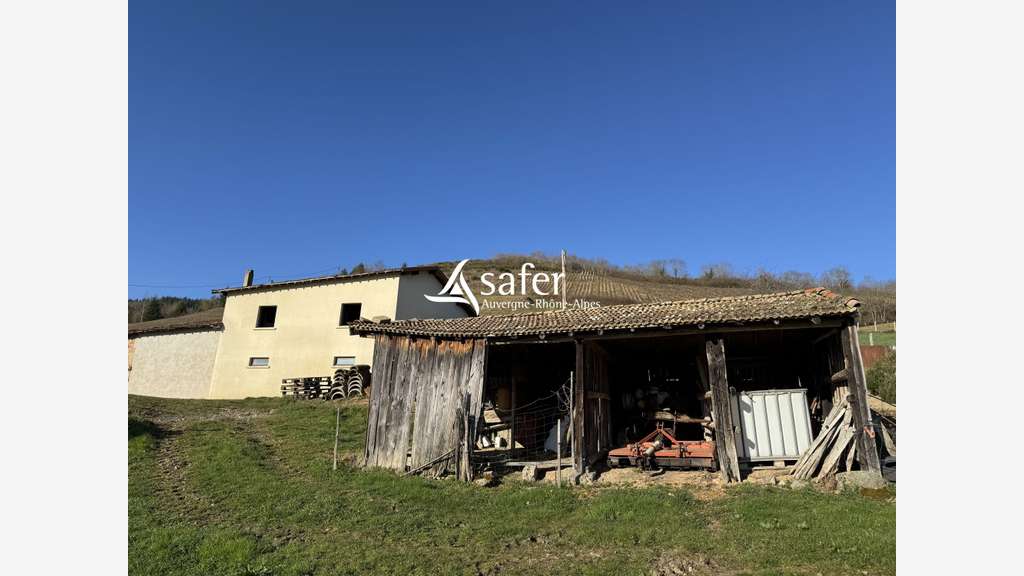 Vente ancien cuvage Vaux en Beaujolais