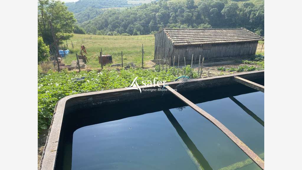 Vente ancien cuvage Vaux en Beaujolais