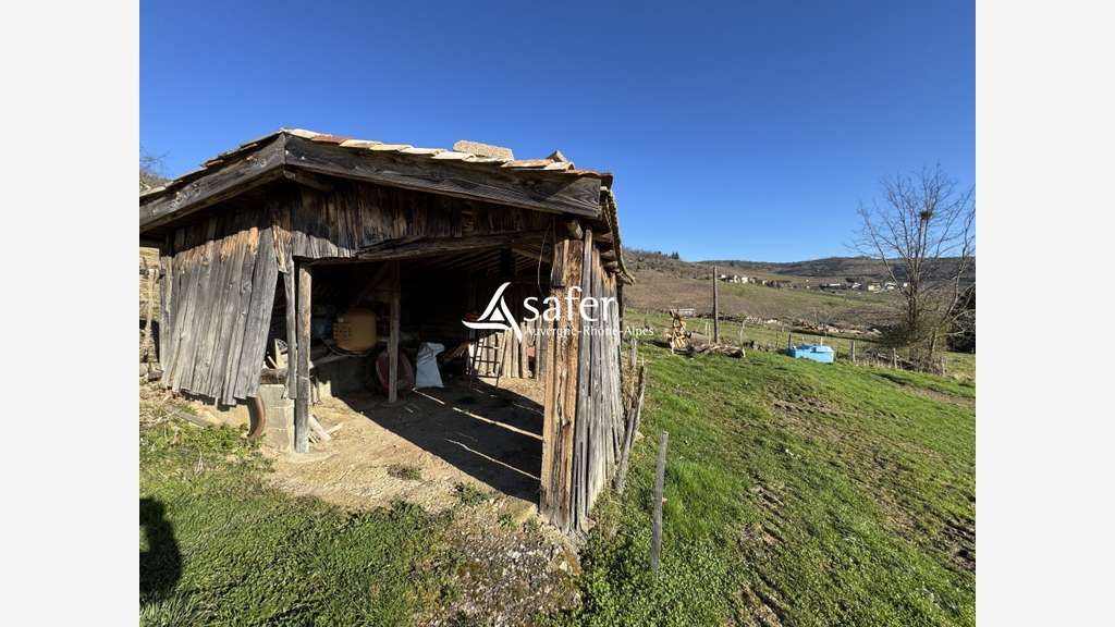 Vente ancien cuvage Vaux en Beaujolais