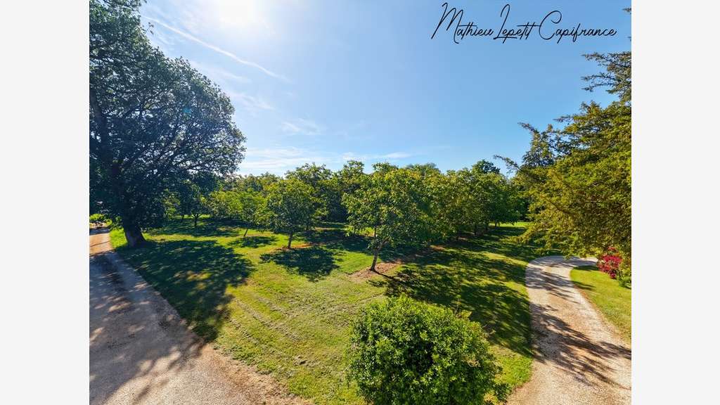 AV production de noix bâtiments + terres Périgueux