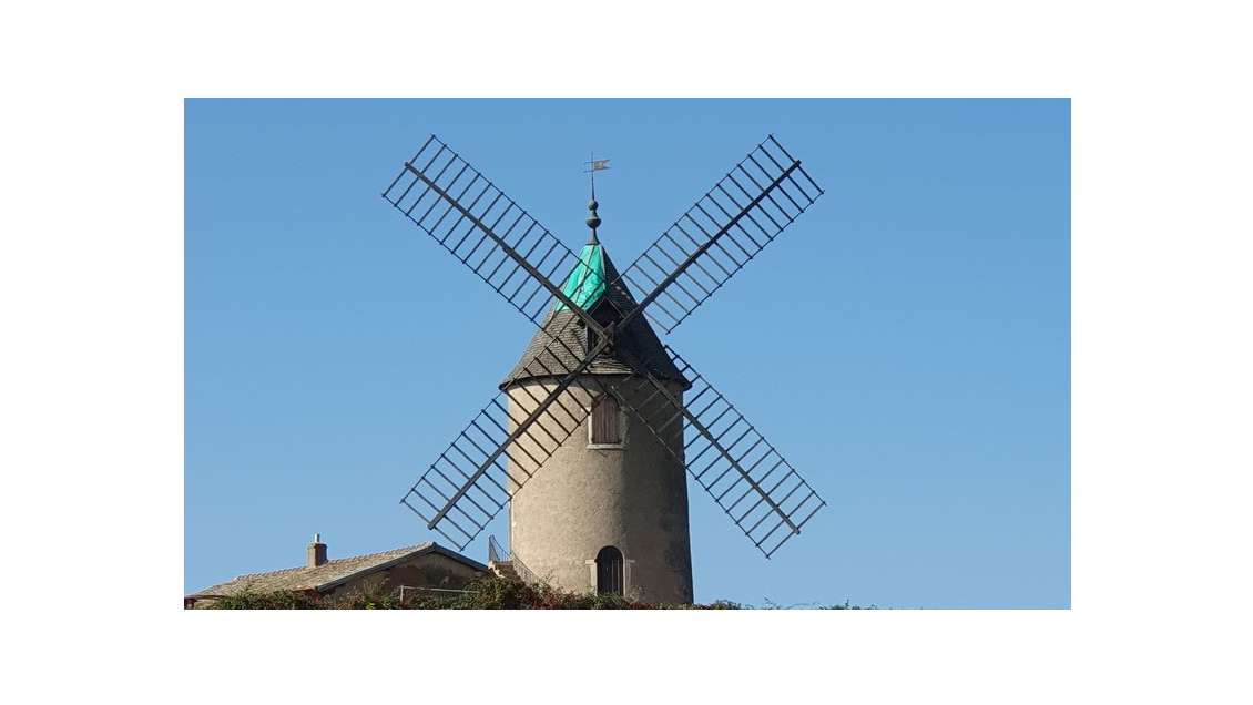A vendre vignes AOC Moulin à Vent en Bourgogne