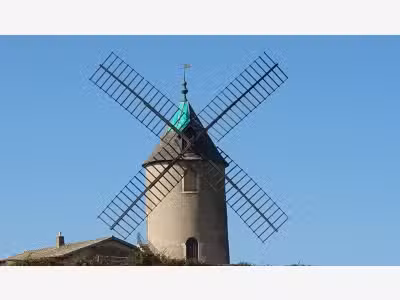 A vendre vignes AOC Moulin à Vent en Bourgogne