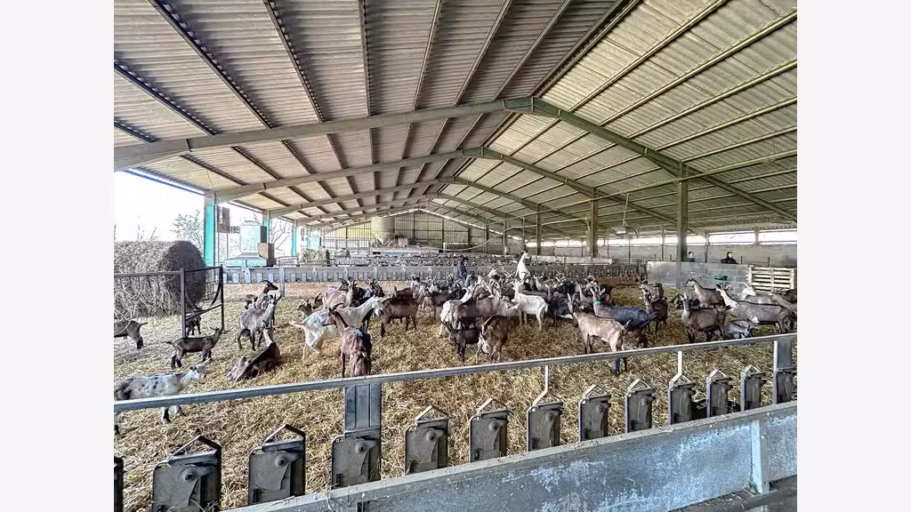 A vendre exploitation située au coeur du Tarn