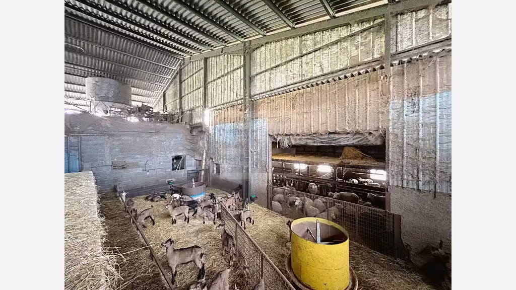 A vendre exploitation située au coeur du Tarn