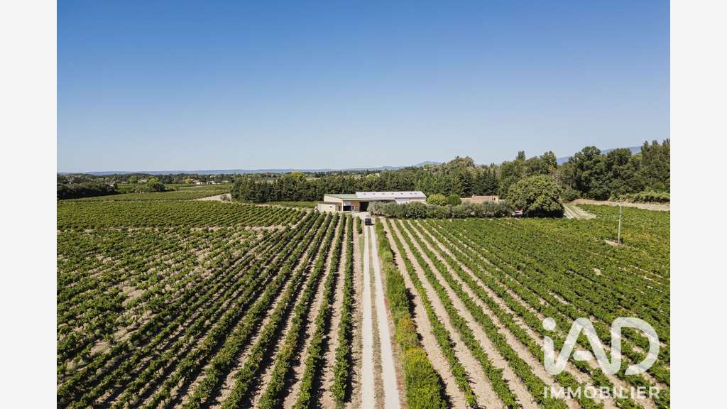 Vente domaine viticole bio de 8 ha à Visan