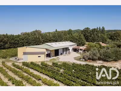 Vente domaine viticole bio de 8 ha à Visan
