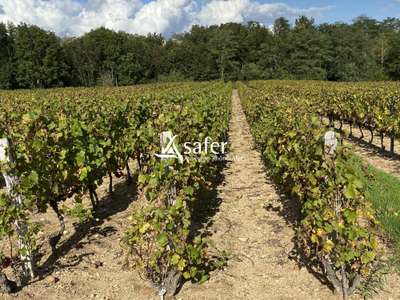 Cède domaine viticole bourgogne crus du Beaujolais