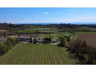 Vente Agriculture - Viticulture à Pennautier