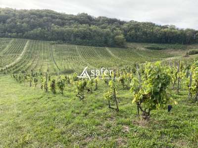 AV parcelles vignes aoc Bugey à St Martin du Mont