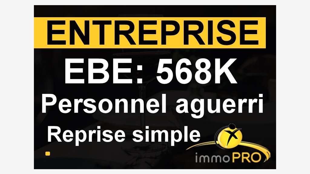 Vente entreprise 2 secteurs d'activité distints 69