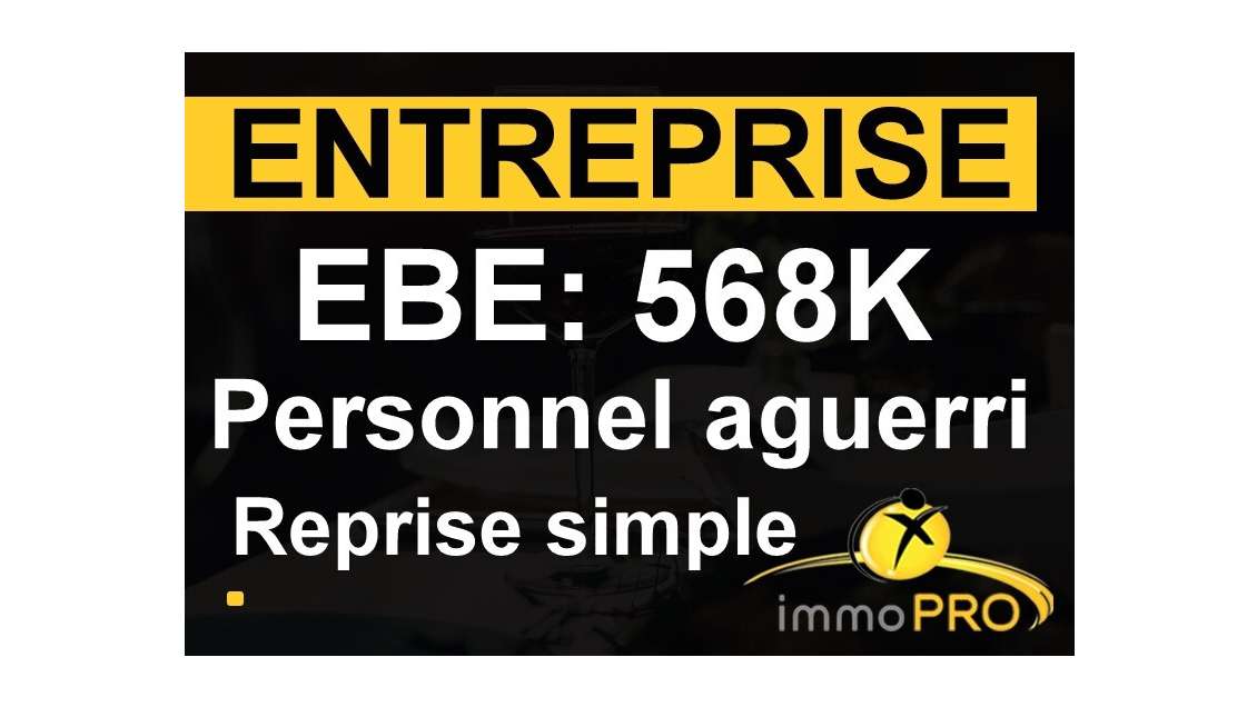 Vente entreprise 2 secteurs d'activité distints 69