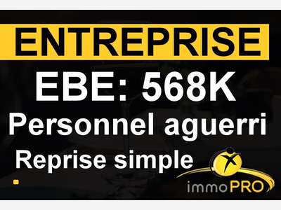 Vente entreprise 2 secteurs d'activité distints 69