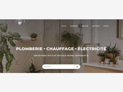 Vente activité plomberie électricité en ZA 79