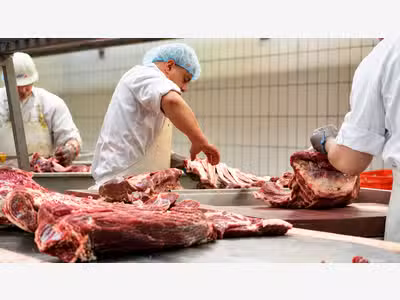 PME découpe transformation viandes multi-espèces