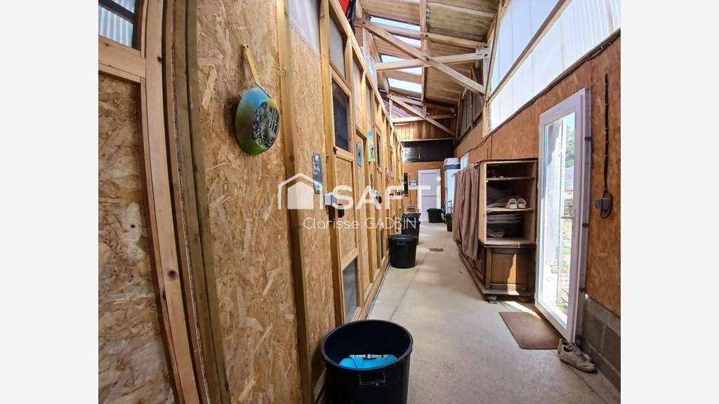 AV pension canine et féline Brains-sur-les-Marches