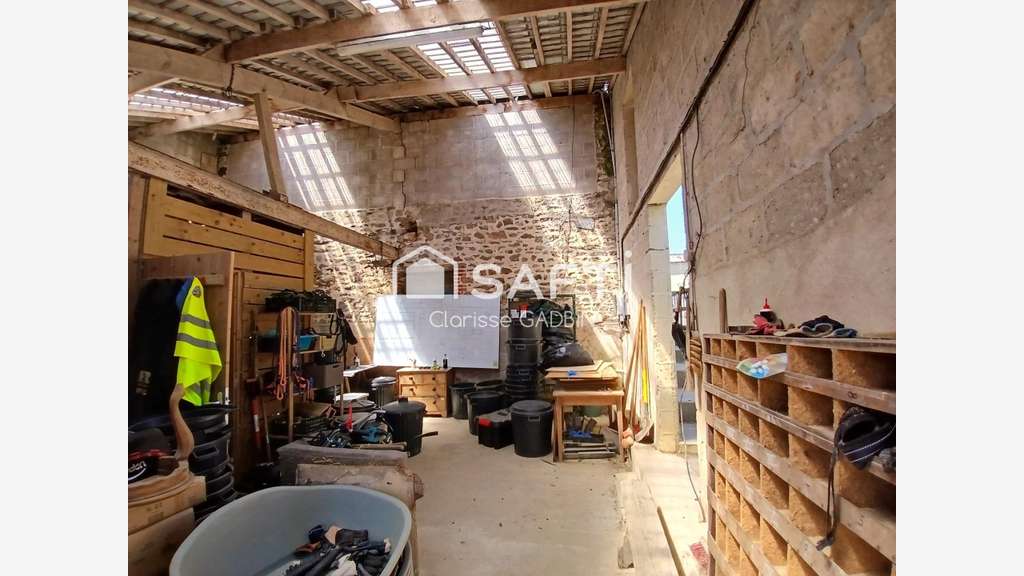 AV pension canine et féline Brains-sur-les-Marches