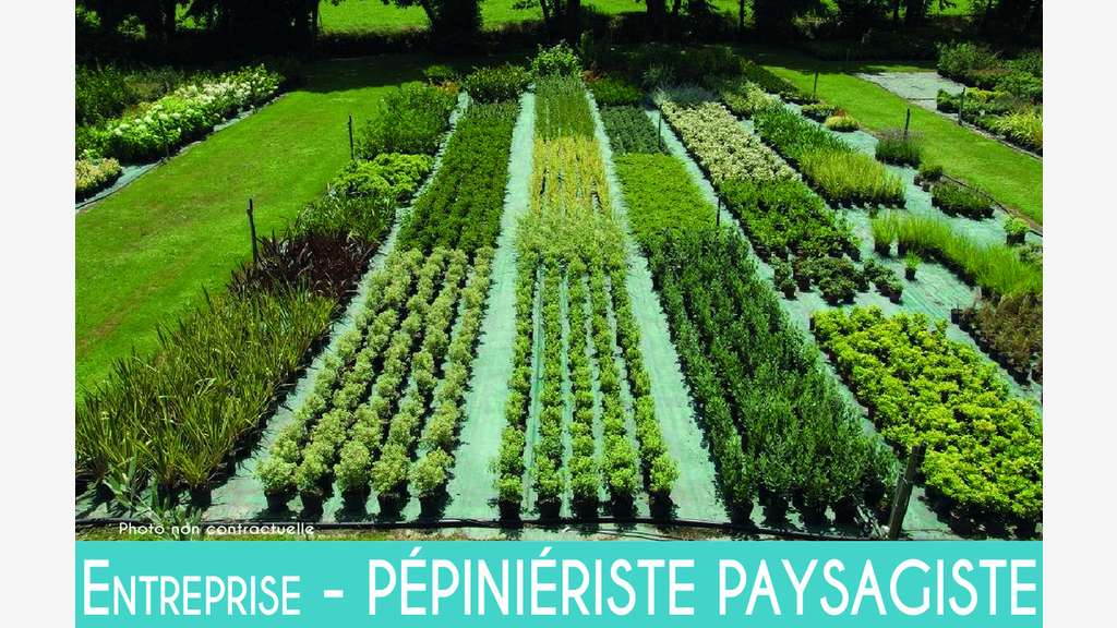 AV société d'aménagement paysager et pépinière 85