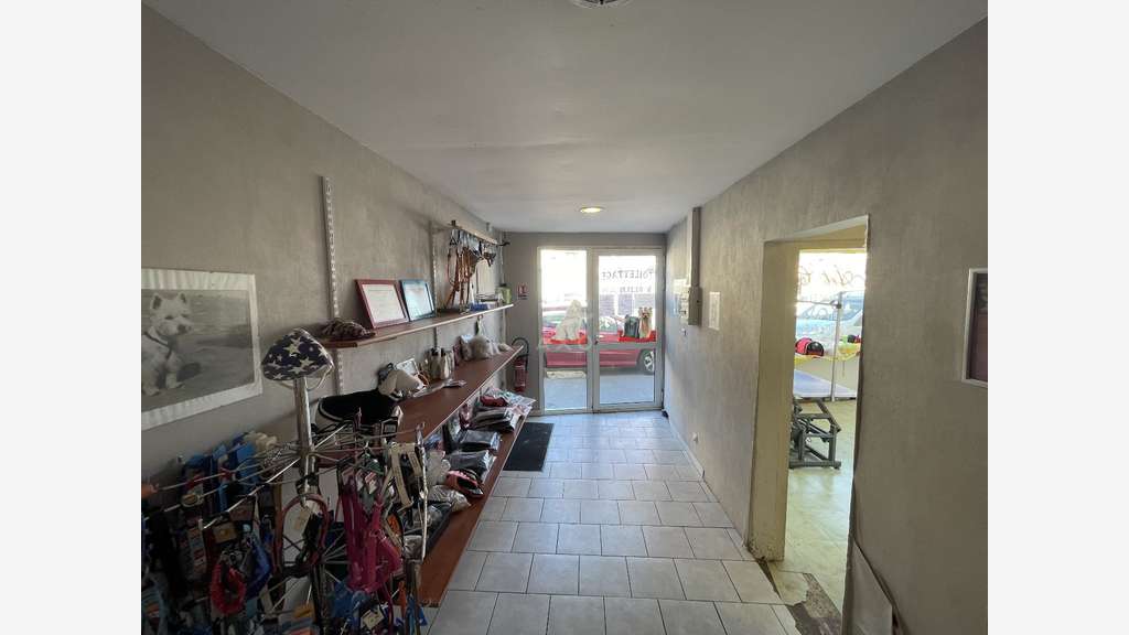 Vente FDC toilettage canin très rentable à Cambrai