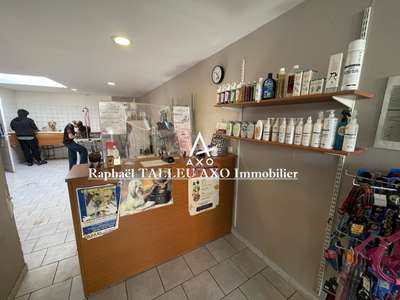 Vente FDC toilettage canin très rentable à Cambrai