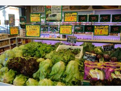 Vente épicerie tabac jeux de campagne au Cotentin