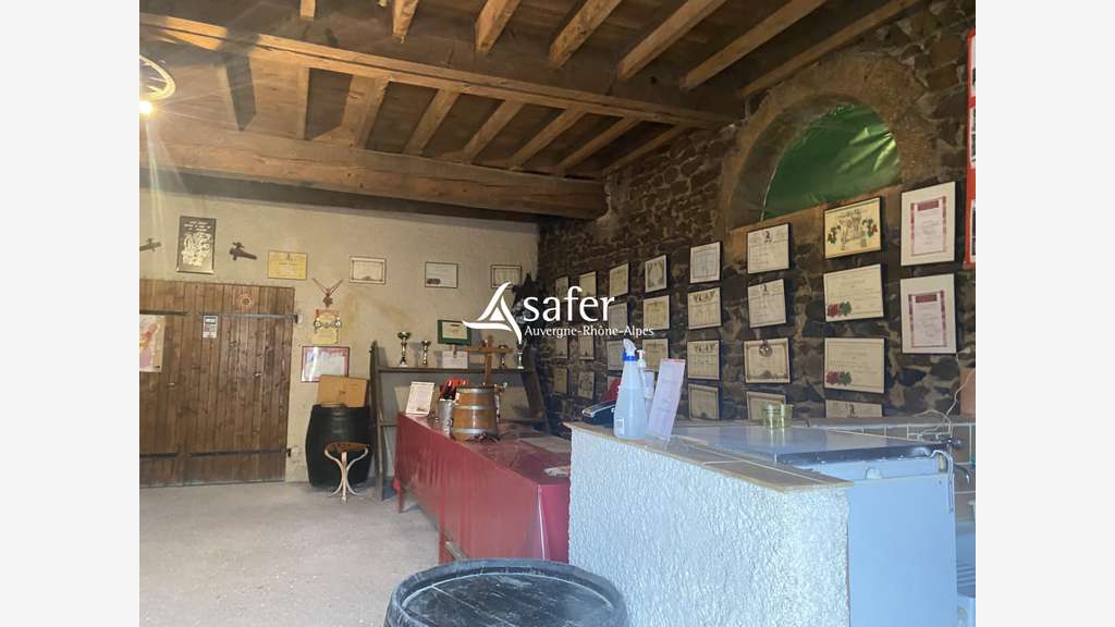 Vente exploitation viticole beaujolaise elevage 69