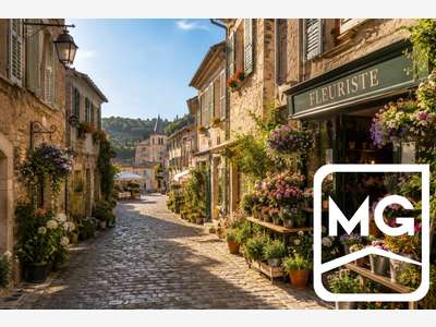 Vente magasin de fleurs rue commerçante en Savoie