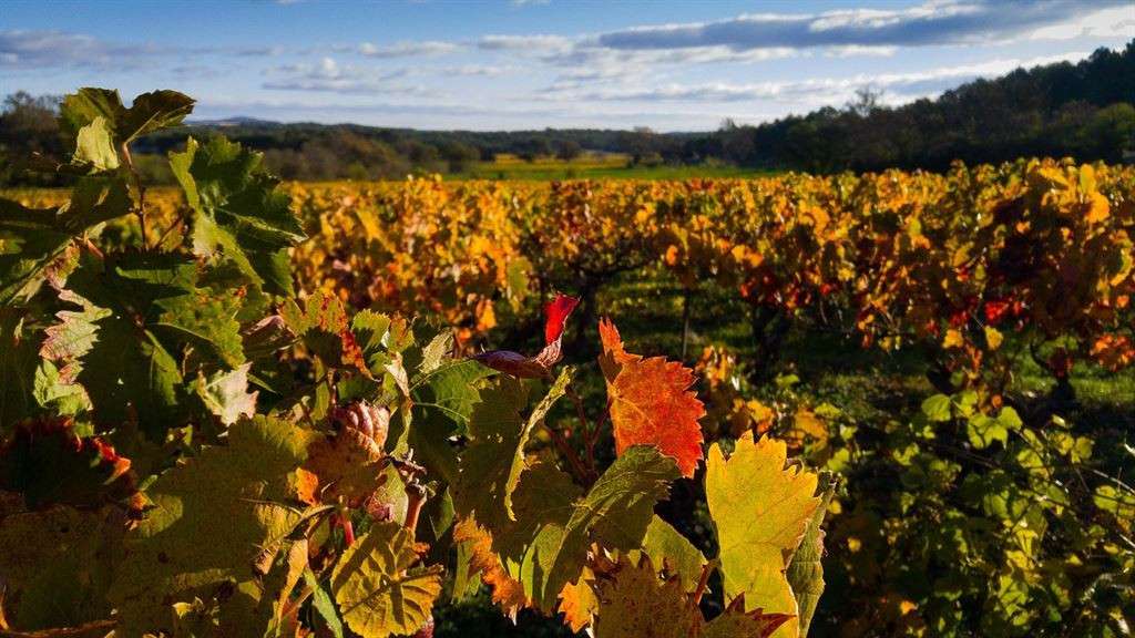 FDC tabac presse FDJ à céder près de Béziers