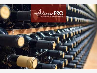 Vente FDC bar à vin / cave à vin sur La Rochelle