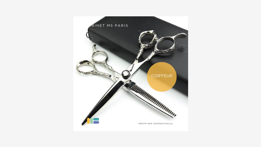 AV salon coiffure esthétique zone commerçante 77