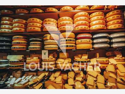 Fromagerie épicerie à céder à Bordeaux